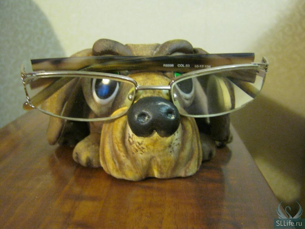 "Вытянул длиннее нос мой забавный умный пёс! Спросите вы: "Почему?" - А идут очки ему! " 